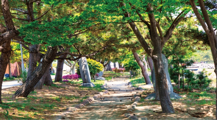 한승원 문학산책길 전경