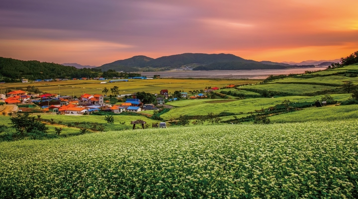 선학동 마을 전경