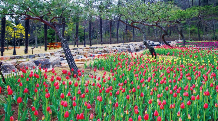 하늘빛수목정원 전경