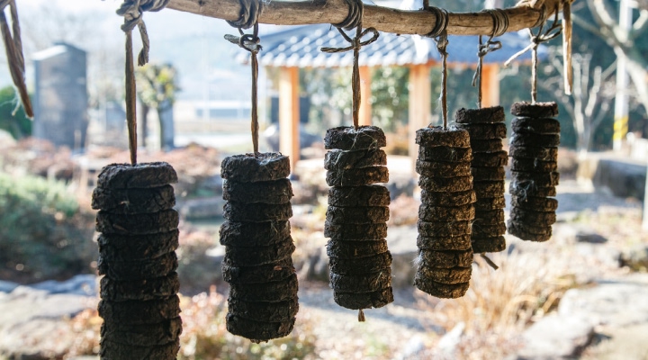 청태전만들기 체험(장흥 다예원 전경