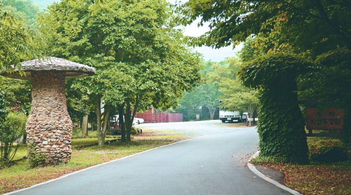 유치 자연휴양림 전경