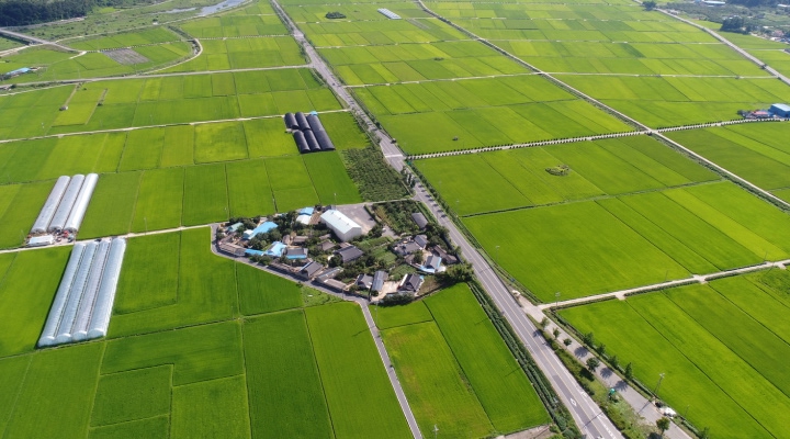 부산면사무소 전경