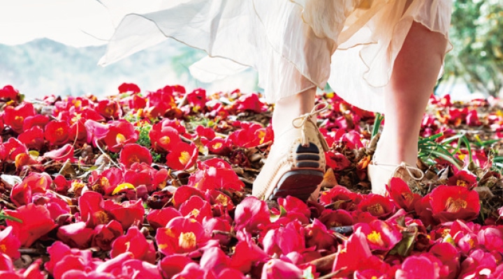 천관산·묵촌마을 동백