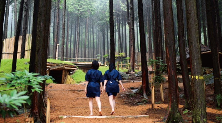 편백숲 우드랜드(산림치유)